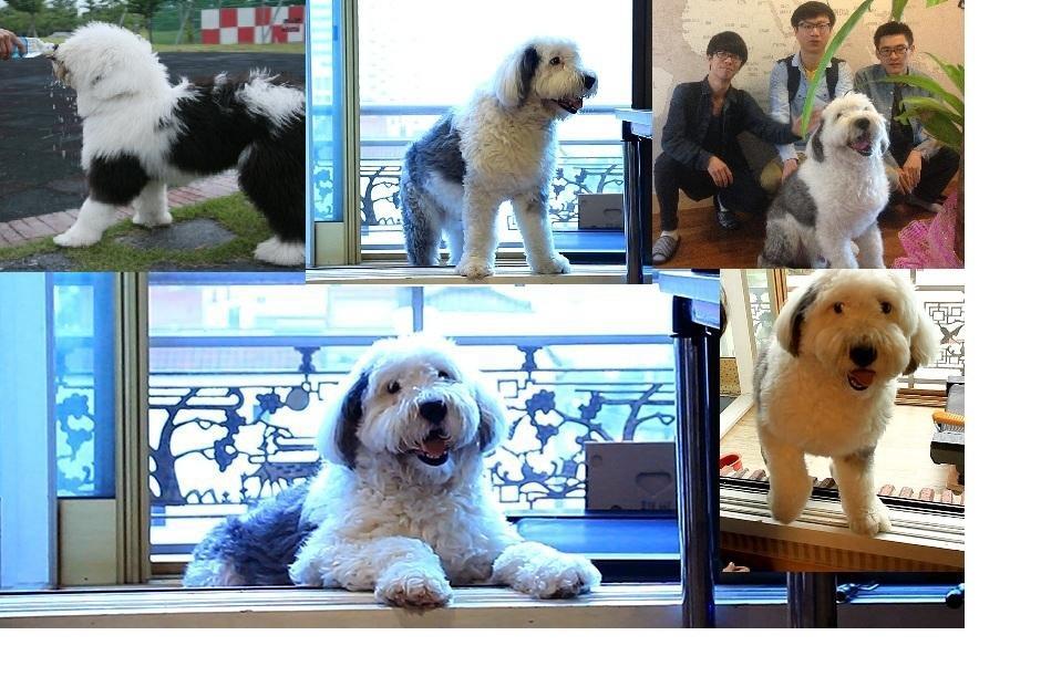 Champ Hostel ปูซาน ภายนอก รูปภาพ